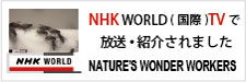 NHKワールド