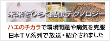 ハエのチカラ