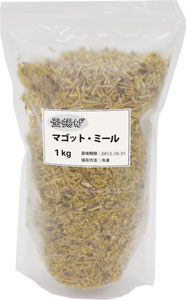 釜揚げマゴット